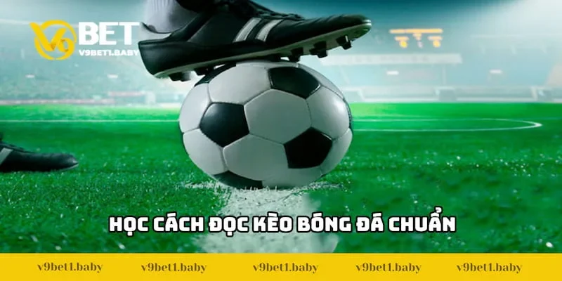 Cách đọc kèo bóng đá